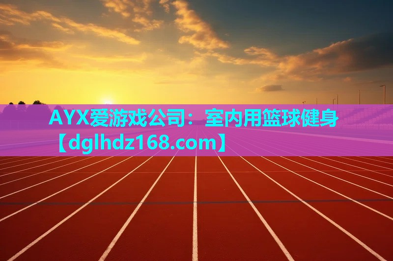AYX爱游戏公司：室内用篮球健身