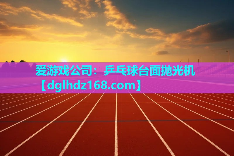 爱游戏公司：乒乓球台面抛光机