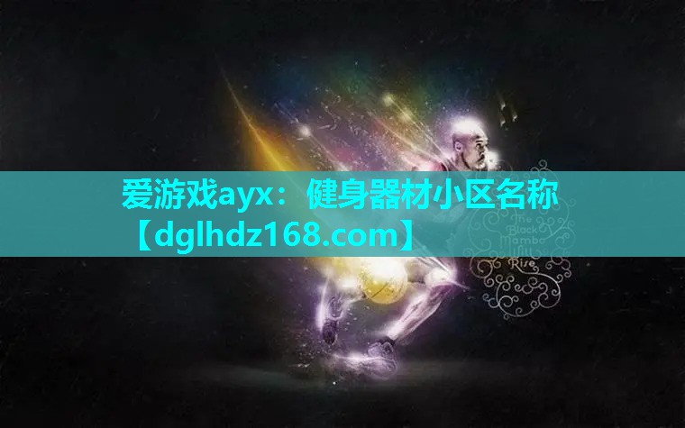 爱游戏ayx：健身器材小区名称