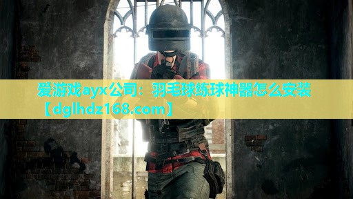 爱游戏ayx公司：羽毛球练球神器怎么安装