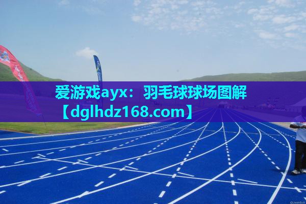 爱游戏ayx：羽毛球球场图解