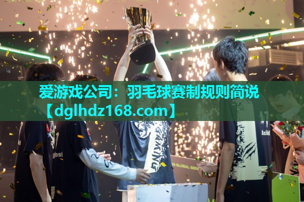 爱游戏公司：羽毛球赛制规则简说
