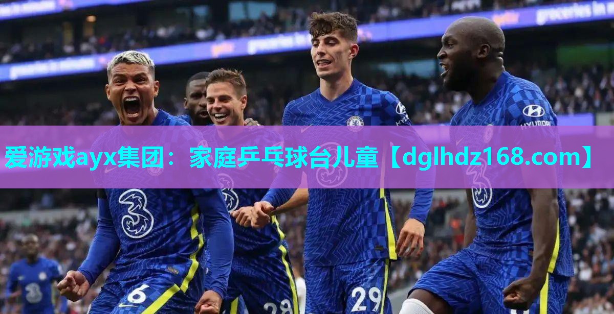 家庭乒乓球台儿童 家庭乒乓球台儿童