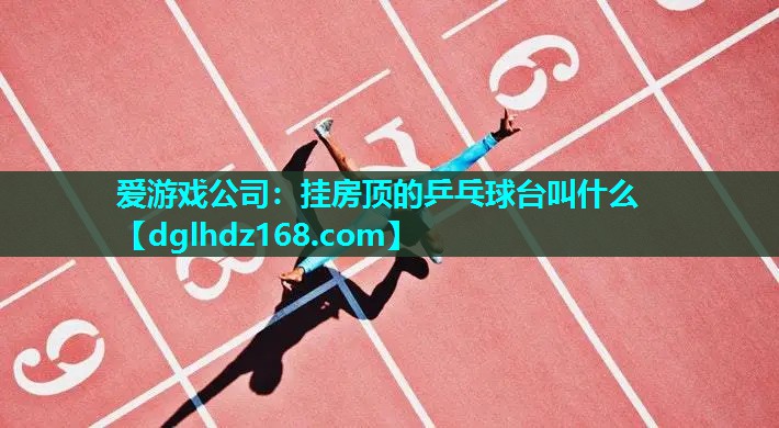 挂房顶的乒乓球台叫什么 挂房顶的乒乓球台叫什么