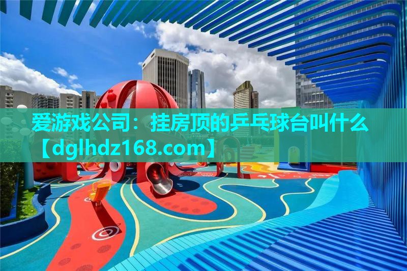 挂房顶的乒乓球台叫什么 挂房顶的乒乓球台叫什么