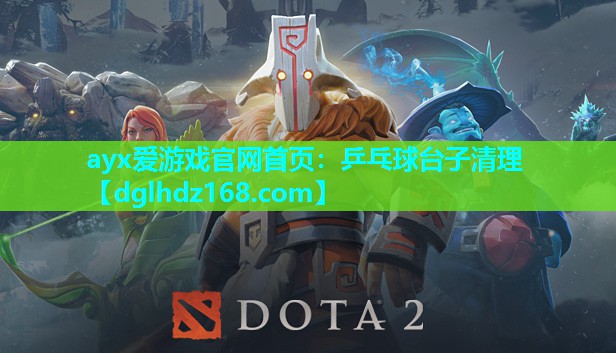 乒乓球台子清理 乒乓球台子清理