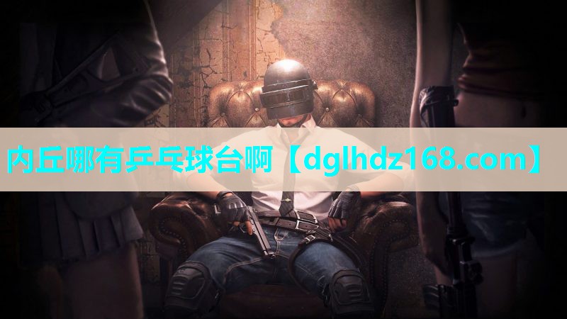 内丘哪有乒乓球台啊 内丘哪有乒乓球台啊