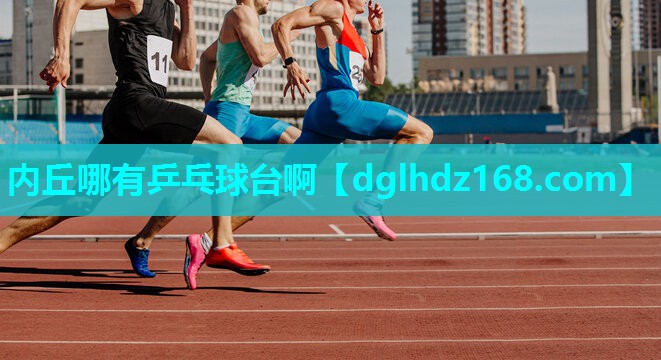 内丘哪有乒乓球台啊 内丘哪有乒乓球台啊