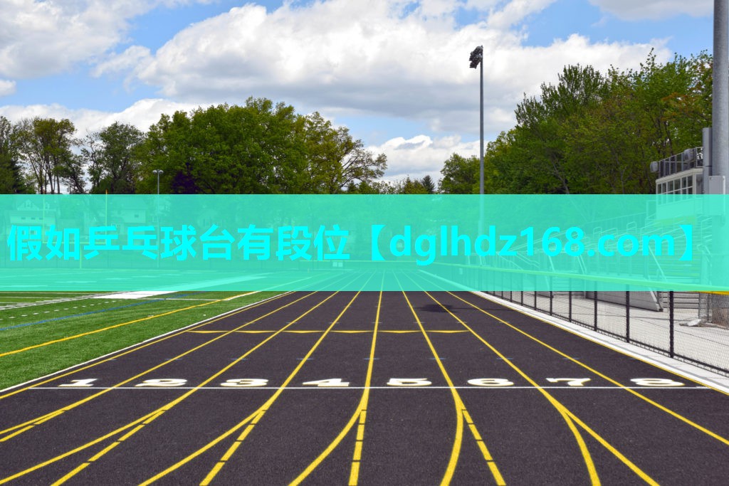 假如乒乓球台有段位 假如乒乓球台有段位