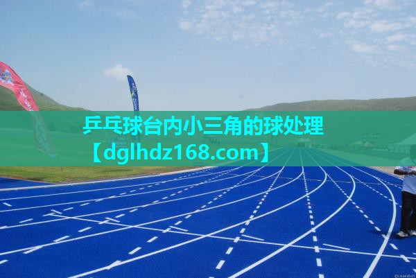 乒乓球台内小三角的球处理 乒乓球台内小三角的球处理