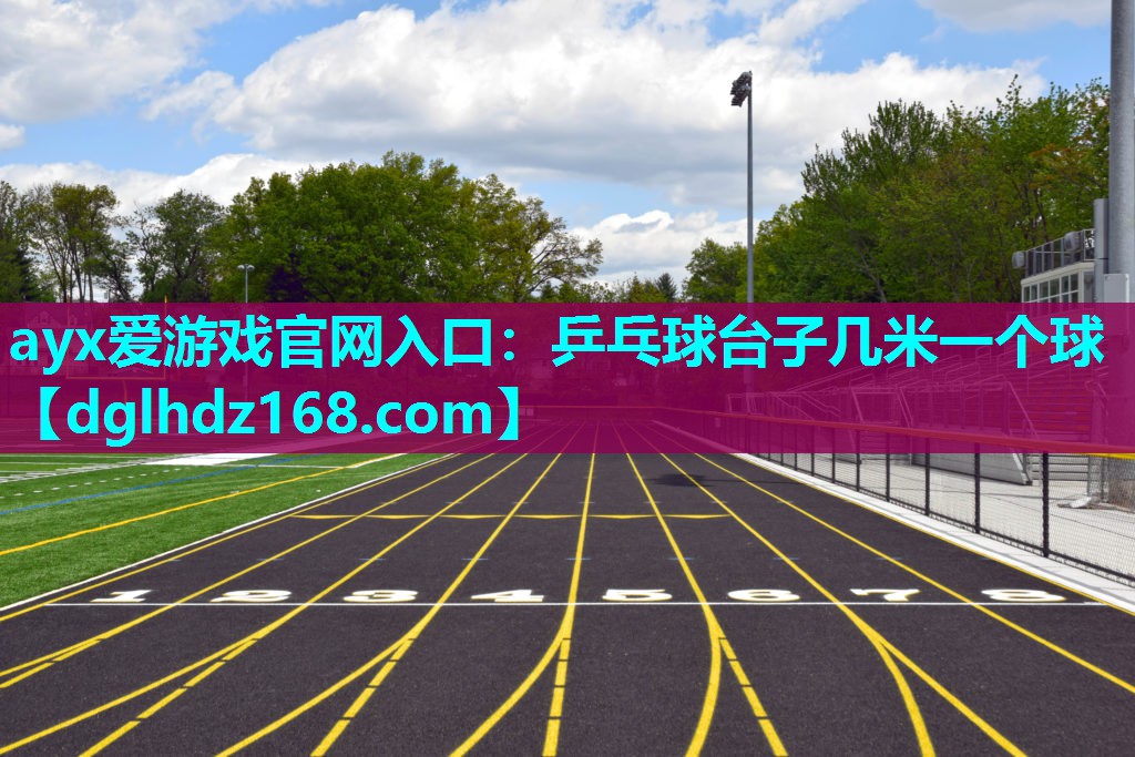乒乓球台子几米一个球 乒乓球台子几米一个球