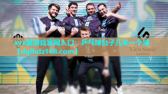 乒乓球台子几米一个球 乒乓球台子几米一个球