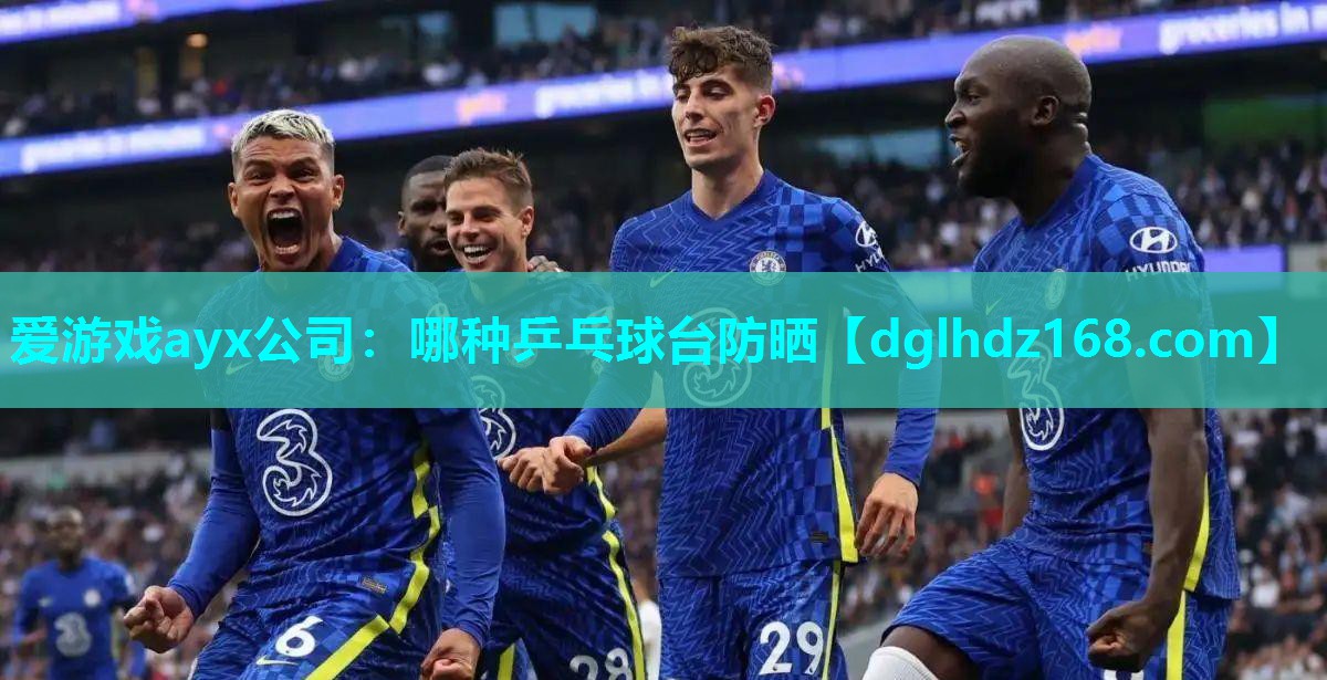 哪种乒乓球台防晒 哪种乒乓球台防晒