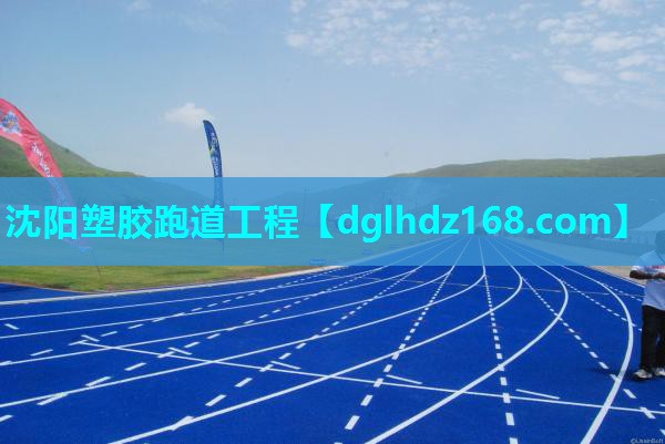 沈阳塑胶跑道工程 沈阳塑胶跑道工程