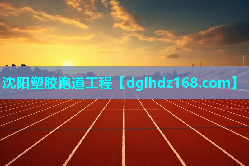 沈阳塑胶跑道工程 沈阳塑胶跑道工程
