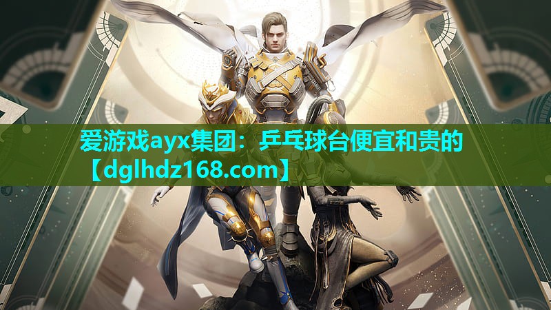 乒乓球台便宜和贵的 乒乓球台便宜和贵的