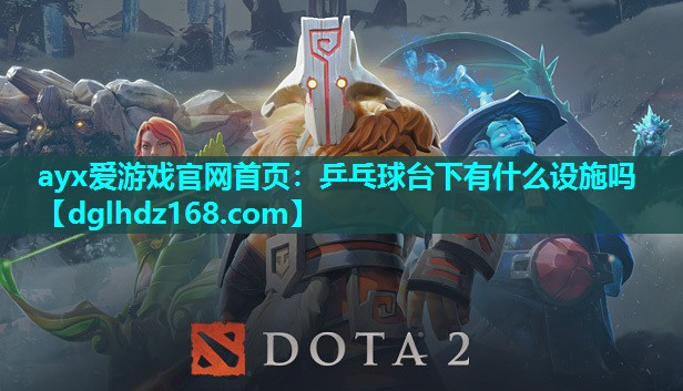乒乓球台下有什么设施吗 乒乓球台下有什么设施吗