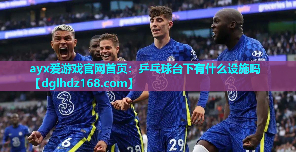 乒乓球台下有什么设施吗 乒乓球台下有什么设施吗