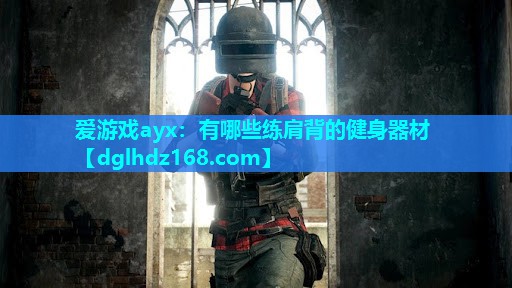 有哪些练肩背的健身器材 有哪些练肩背的健身器材