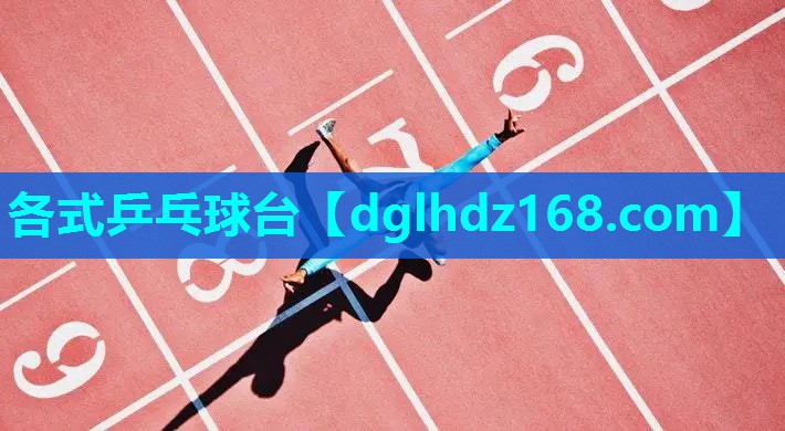 各式乒乓球台 各式乒乓球台