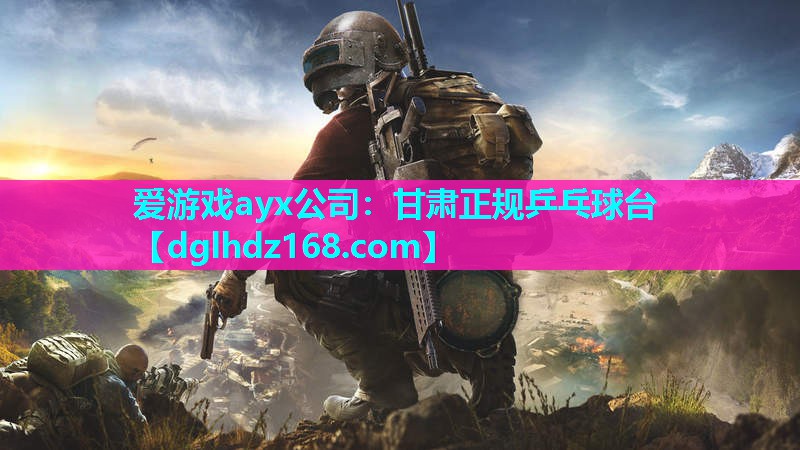 甘肃正规乒乓球台 甘肃正规乒乓球台
