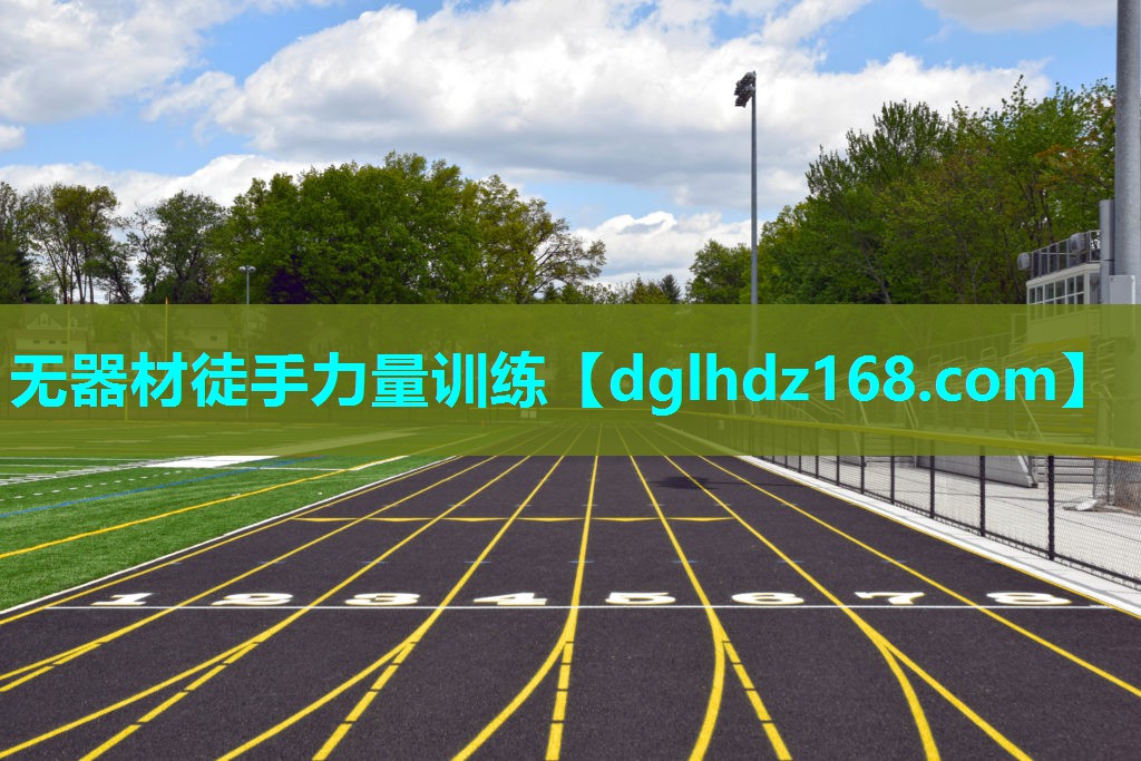 无器材徒手力量训练 无器材徒手力量训练