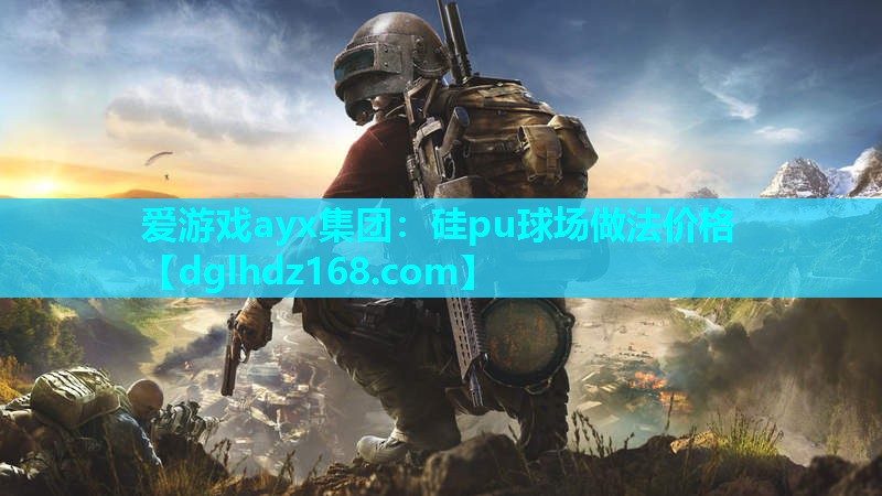 硅pu球场做法价格 硅pu球场做法价格