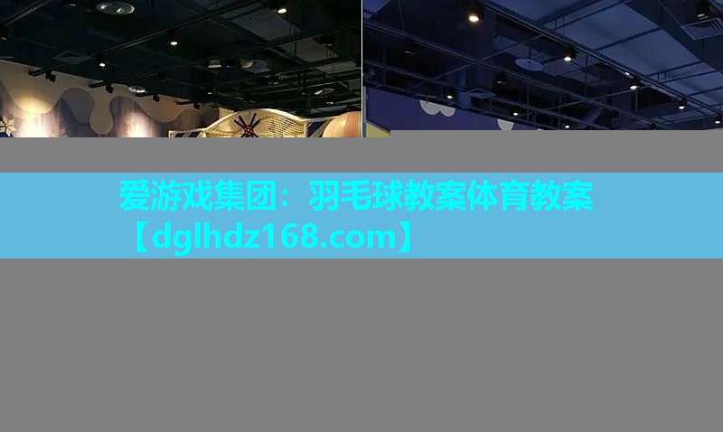 羽毛球教案体育教案 羽毛球教案体育教案