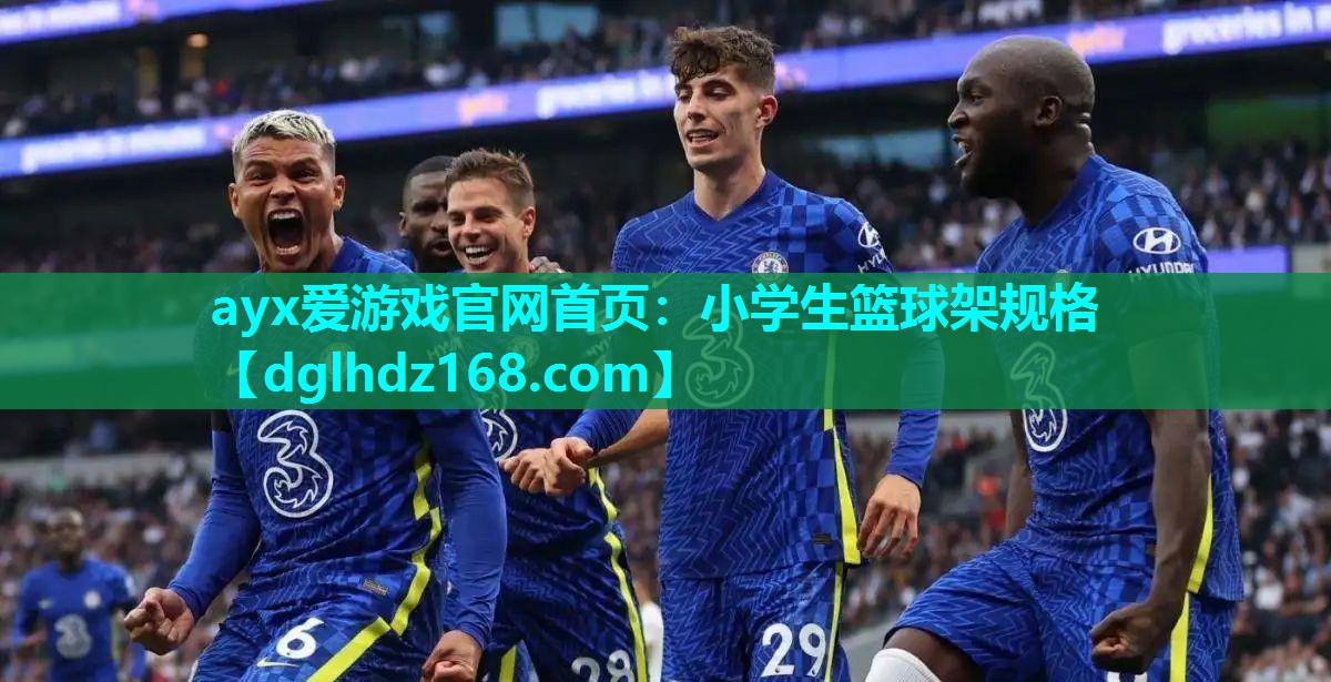 小学生篮球架规格 小学生篮球架规格