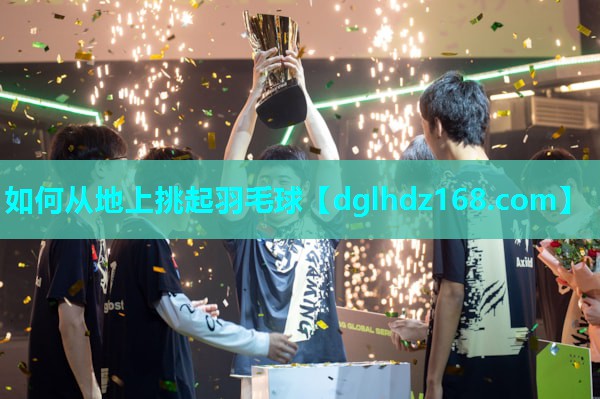如何从地上挑起羽毛球 如何从地上挑起羽毛球