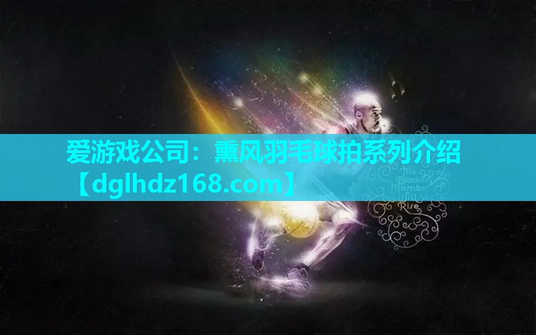 熏风羽毛球拍系列介绍 熏风羽毛球拍系列介绍