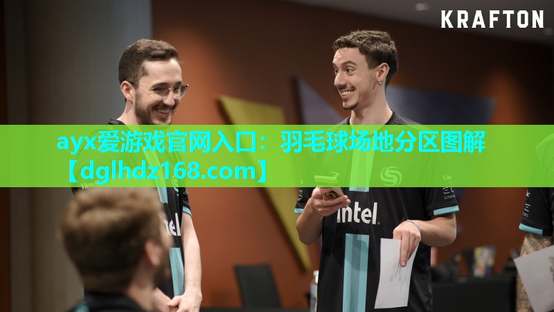 羽毛球场地分区图解 羽毛球场地分区图解