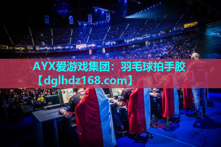 羽毛球拍手胶 羽毛球拍手胶