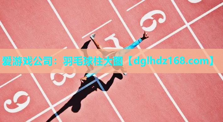 羽毛球柱大图 羽毛球柱大图