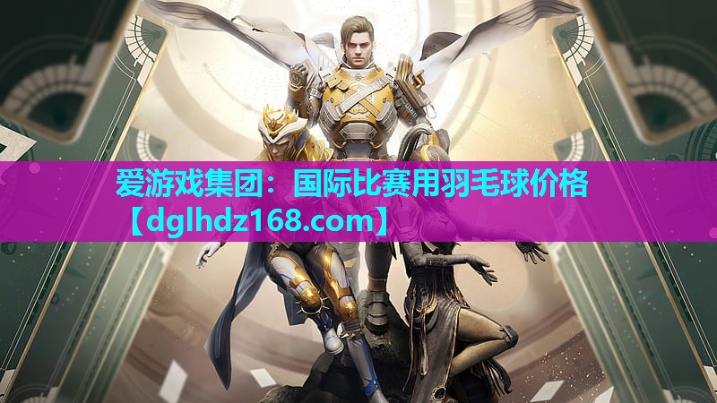 国际比赛用羽毛球价格 国际比赛用羽毛球价格
