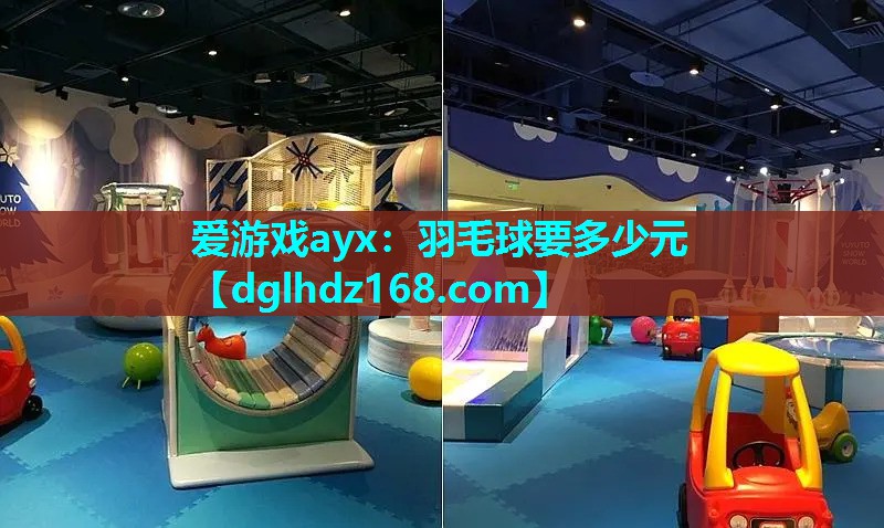 羽毛球要多少元 羽毛球要多少元