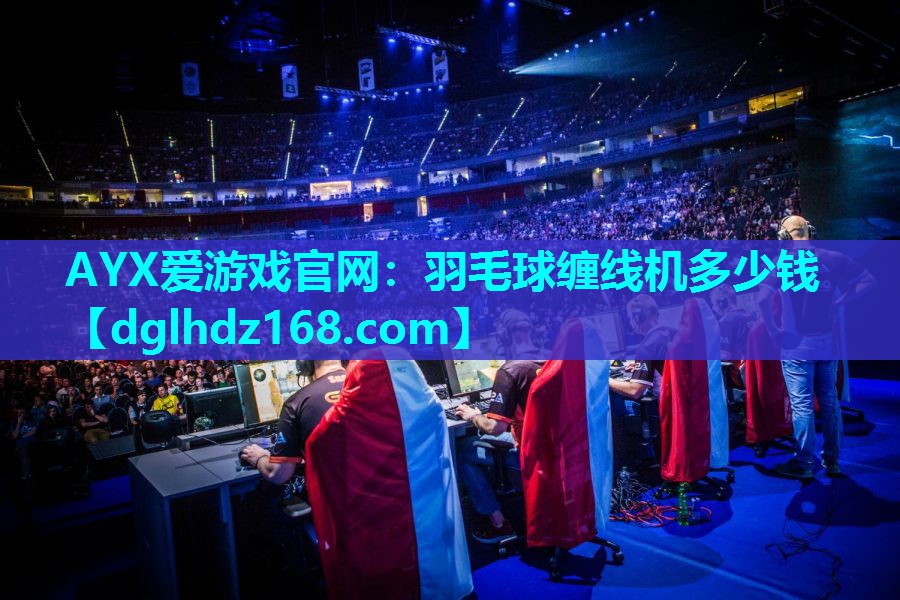 羽毛球缠线机多少钱 羽毛球缠线机多少钱
