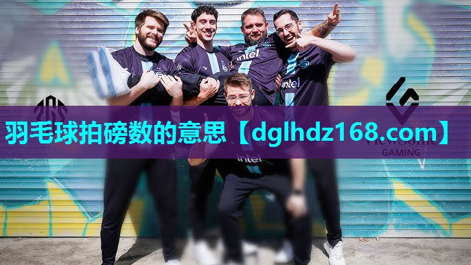 羽毛球拍磅数的意思 羽毛球拍磅数的意思