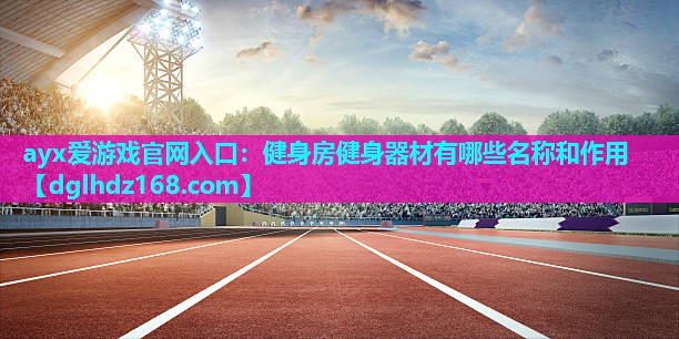 健身房健身器材有哪些名称和作用 健身房健身器材有哪些名称和作用