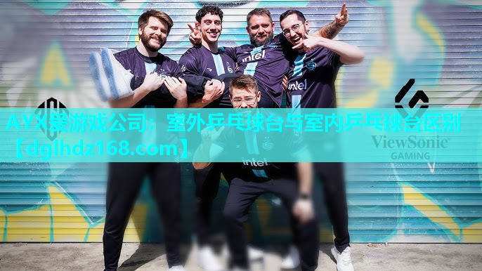 室外乒乓球台与室内乒乓球台区别 室外乒乓球台与室内乒乓球台区别