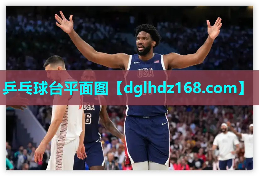 乒乓球台平面图 乒乓球台平面图