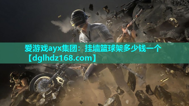 挂墙篮球架多少钱一个 挂墙篮球架多少钱一个