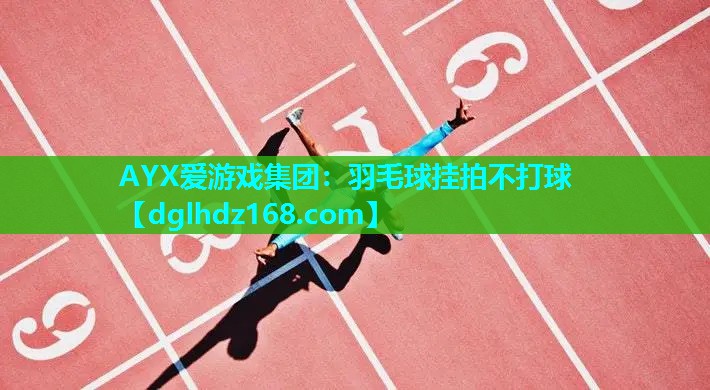 羽毛球挂拍不打球 羽毛球挂拍不打球