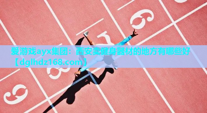 西安卖健身器材的地方有哪些好 西安卖健身器材的地方有哪些好