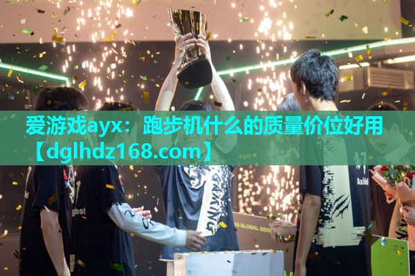 跑步机什么的质量价位好用 跑步机什么的质量价位好用