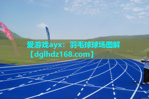 羽毛球球场图解 羽毛球球场图解