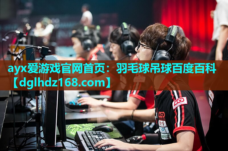 羽毛球吊球百度百科 羽毛球吊球百度百科