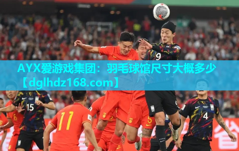 羽毛球馆尺寸大概多少 羽毛球馆尺寸大概多少